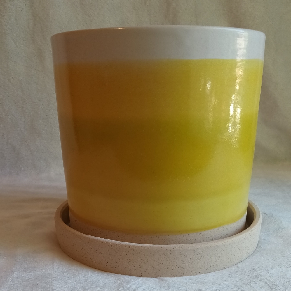 Sketchbook Ceramic Indoor/Outdoor Floor Planter Citrus Yellow Ombre